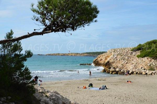 Sous Le Soleil Des Alpilles Apartment มูริแยส ภายนอก รูปภาพ